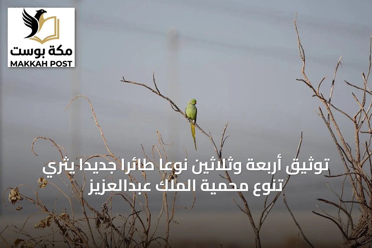 توثيق أربعة وثلاثين نوعًا طائرًا جديدًا يثري تنوع محمية الملك عبدالعزيز