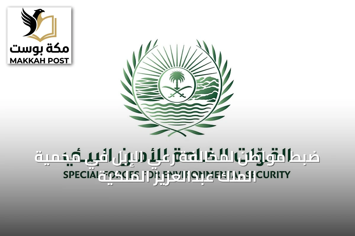 ضبط مواطن لمخالفة رعي الإبل في محمية الملك عبدالعزيز الملكية