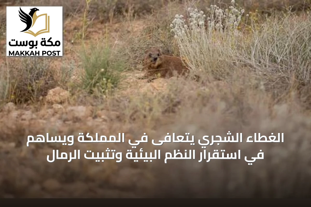 الغطاء الشجري يتعافى في المملكة ويساهم في استقرار النظم البيئية وتثبيت الرمال