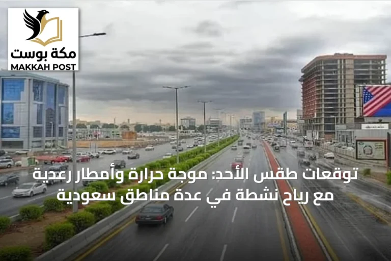 توقعات طقس الأحد: موجة حرارة وأمطار رعدية مع رياح نشطة في عدة مناطق سعودية