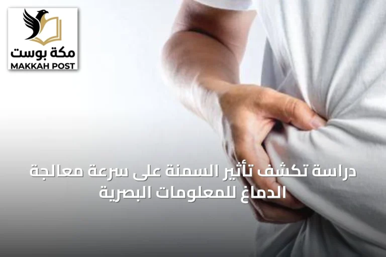 دراسة تكشف تأثير السمنة على سرعة معالجة الدماغ للمعلومات البصرية