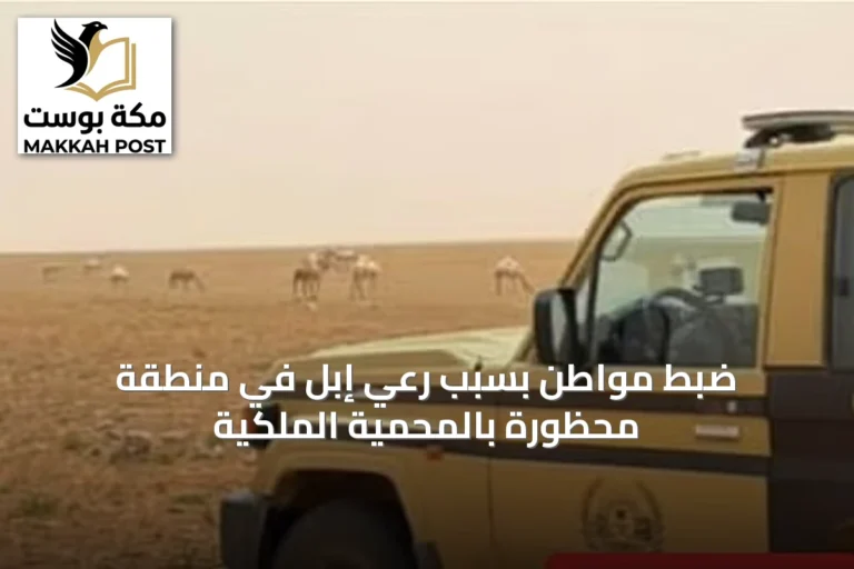 ضبط مواطن بسبب رعي إبل في منطقة محظورة بالمحمية الملكية