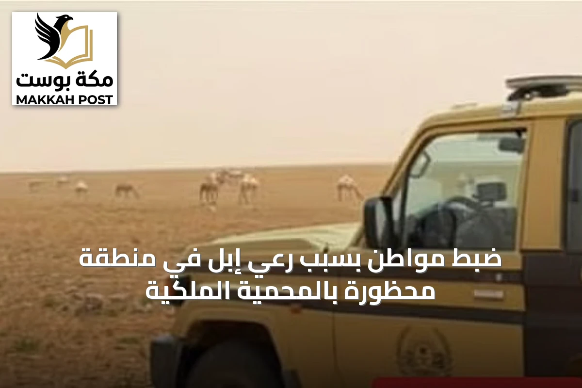 ضبط مواطن بسبب رعي إبل في منطقة محظورة بالمحمية الملكية