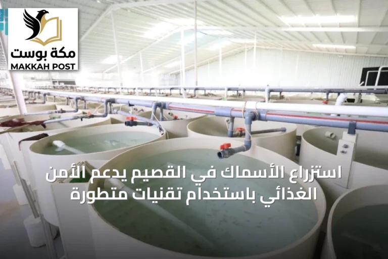 استزراع الأسماك في القصيم يدعم الأمن الغذائي باستخدام تقنيات متطورة