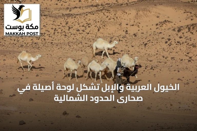 الخيول العربية والإبل تشكل لوحة أصيلة في صحارى الحدود الشمالية