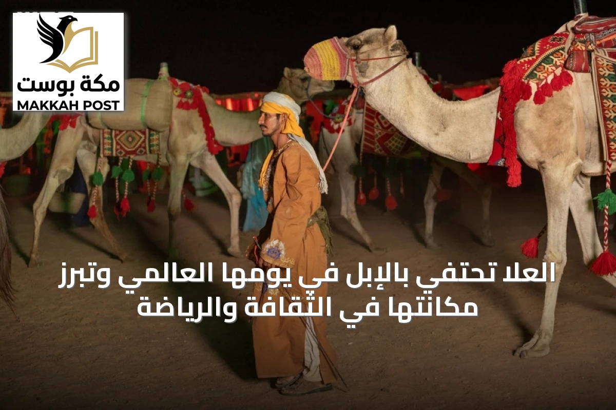 العلا تحتفي بالإبل في يومها العالمي وتبرز مكانتها في الثقافة والرياضة