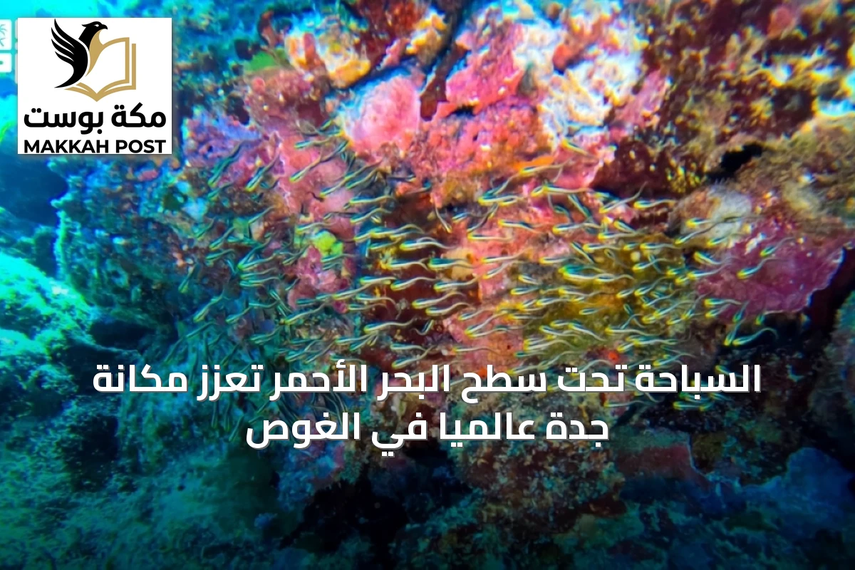 السباحة تحت سطح البحر الأحمر تعزز مكانة جدة عالمياً في الغوص