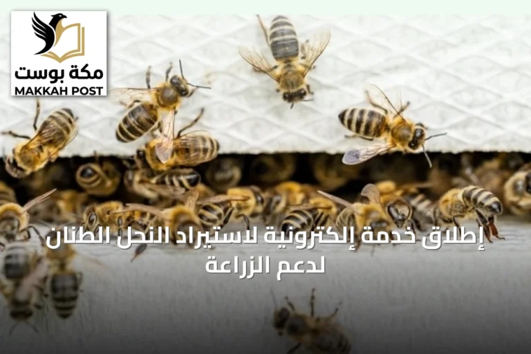 إطلاق خدمة إلكترونية لاستيراد النحل الطنان لدعم الزراعة