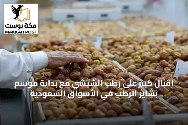 إقبال كبير على رطب الشيشي مع بداية موسم بشاير الرطب في الأسواق السعودية