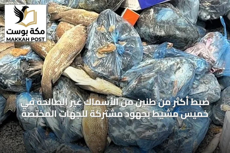 ضبط أكثر من طنيْن من الأسماك غير الصالحة في خميس مشيط بجهود مشتركة للجهات المختصة