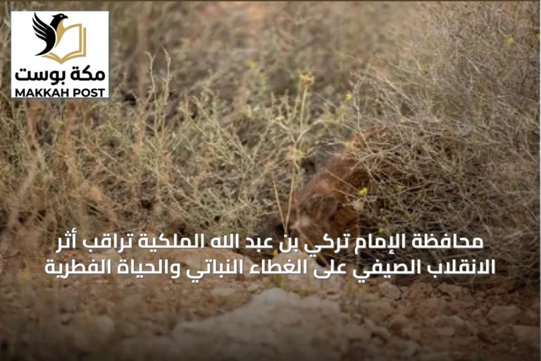 محافظة الإمام تركي بن عبد الله الملكية تراقب أثر الانقلاب الصيفي على الغطاء النباتي والحياة الفطرية