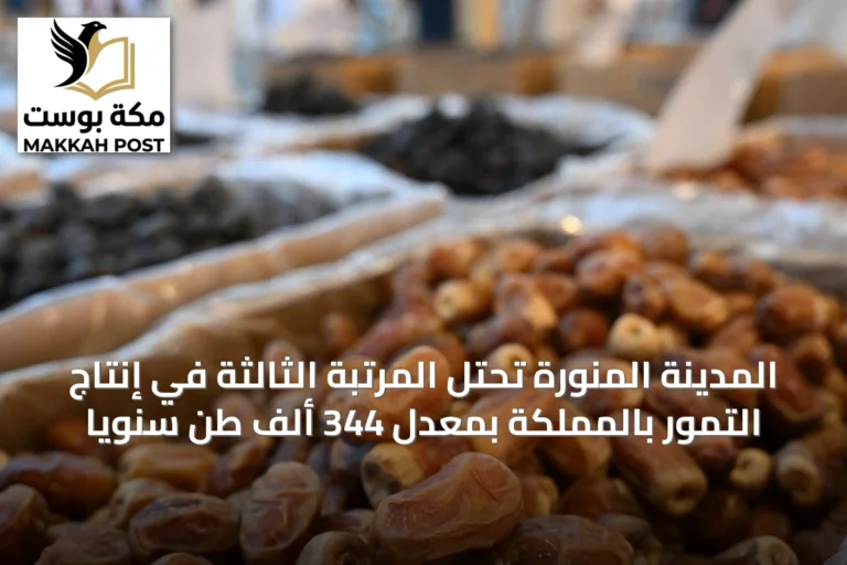المدينة المنورة تحتل المرتبة الثالثة في إنتاج التمور بالمملكة بمعدل 344 ألف طن سنوياً