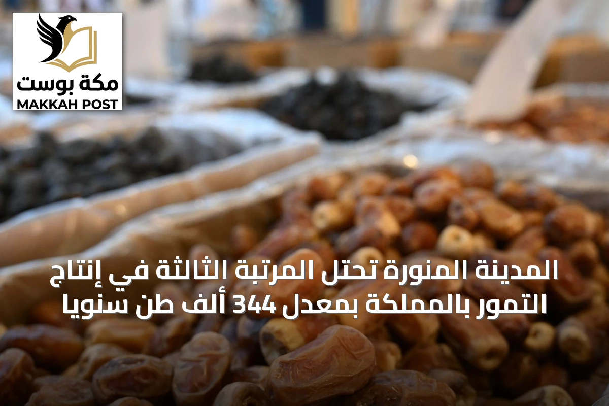 المدينة المنورة تحتل المرتبة الثالثة في إنتاج التمور بالمملكة بمعدل 344 ألف طن سنوياً