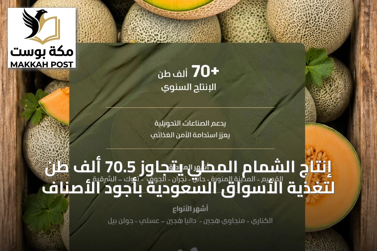 إنتاج الشمام المحلي يتجاوز 70.5 ألف طن لتغذية الأسواق السعودية بأجود الأصناف
