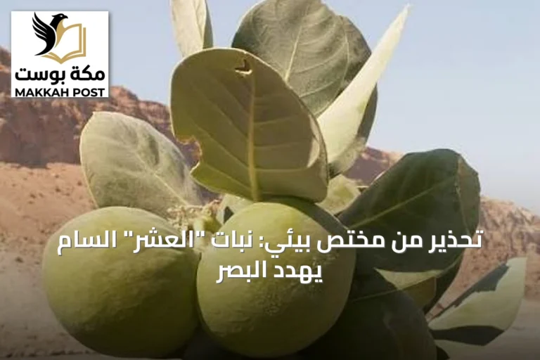 تحذير من مختص بيئي: نبات "العشر" السام يهدد البصر
