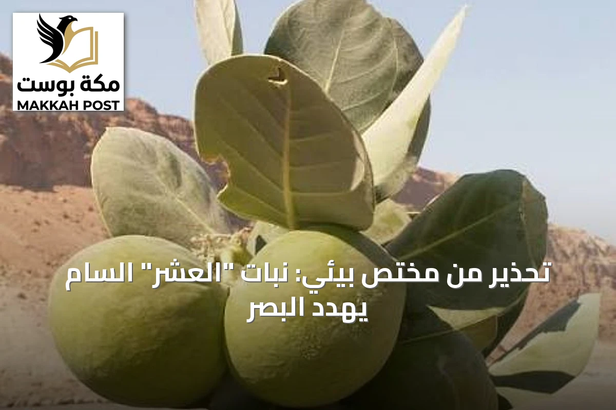 تحذير من مختص بيئي: نبات "العشر" السام يهدد البصر