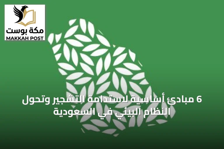 6 مبادئ أساسية لاستدامة التشجير وتحول النظام البيئي في السعودية
