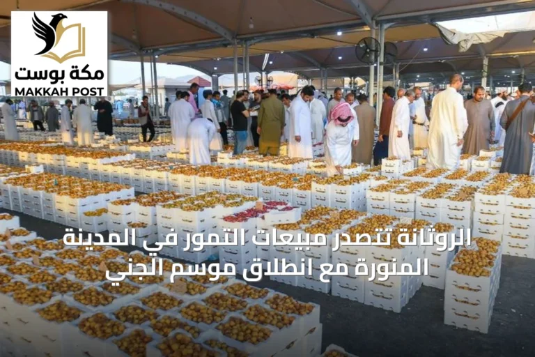 الروثانة تتصدر مبيعات التمور في المدينة المنورة مع انطلاق موسم الجني