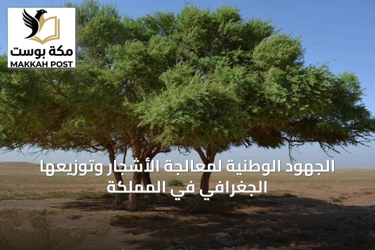 الجهود الوطنية لمعالجة الأشجار وتوزيعها الجغرافي في المملكة