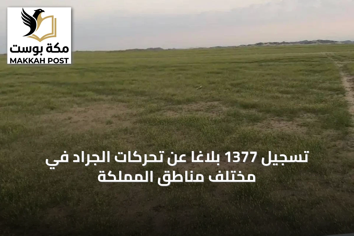 تسجيل 1377 بلاغاً عن تحركات الجراد في مختلف مناطق المملكة