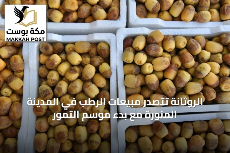 الروثانة تتصدر مبيعات الرطب في المدينة المنورة مع بدء موسم التمور
