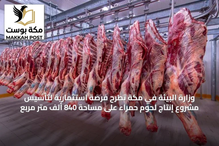 وزارة البيئة في مكة تطرح فرصة استثمارية لتأسيس مشروع إنتاج لحوم حمراء على مساحة 840 ألف متر مربع
