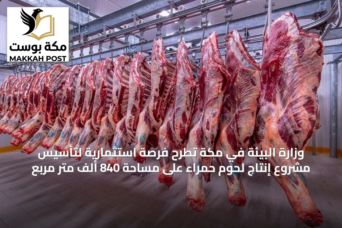 وزارة البيئة في مكة تطرح فرصة استثمارية لتأسيس مشروع إنتاج لحوم حمراء على مساحة 840 ألف متر مربع