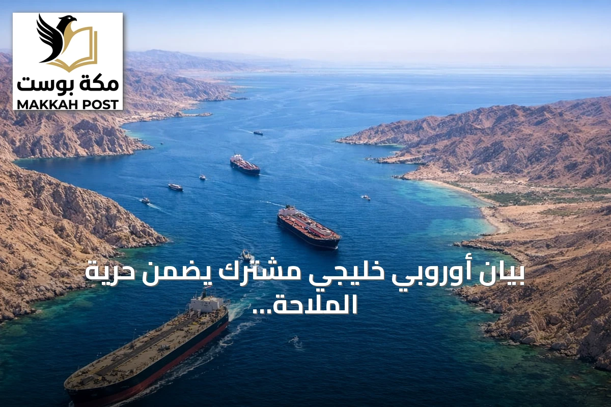 بيان أوروبي خليجي مشترك يضمن حرية الملاحة في مضيق هرمز وي denounce هجمات إيران