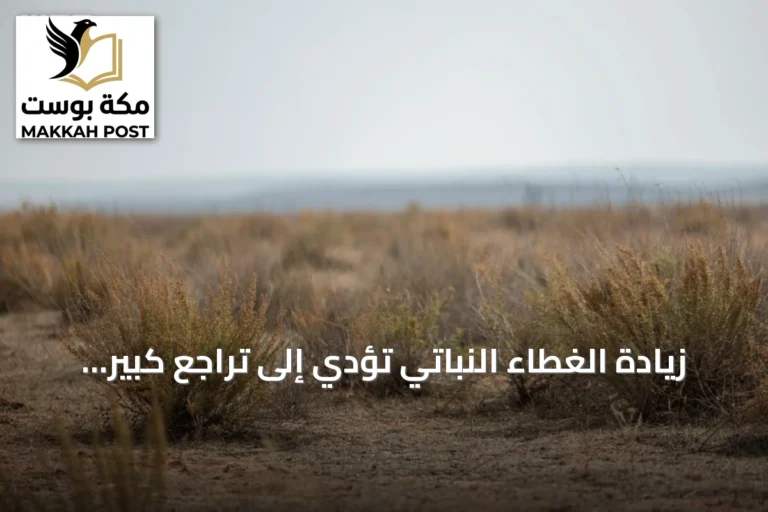 زيادة الغطاء النباتي تؤدي إلى تراجع كبير في العواصف الغبارية بمحمية الإمام تركي بن Abdullah