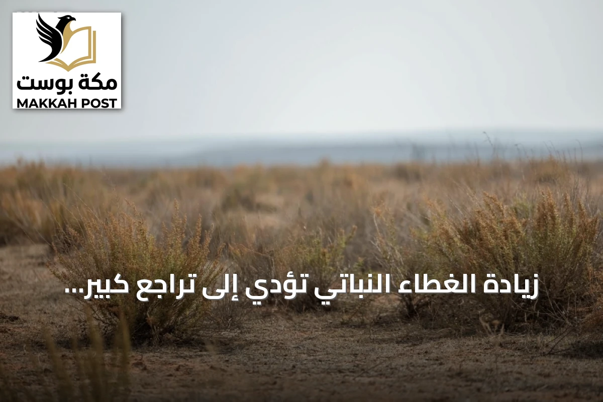 زيادة الغطاء النباتي تؤدي إلى تراجع كبير في العواصف الغبارية بمحمية الإمام تركي بن Abdullah