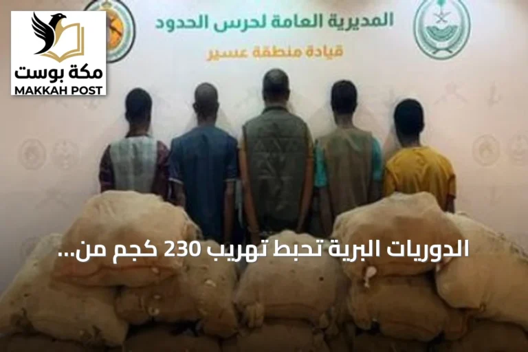 الدوريات البرية تحبط تهريب 230 كجم من القات وتعتقل خمسة مخالفين