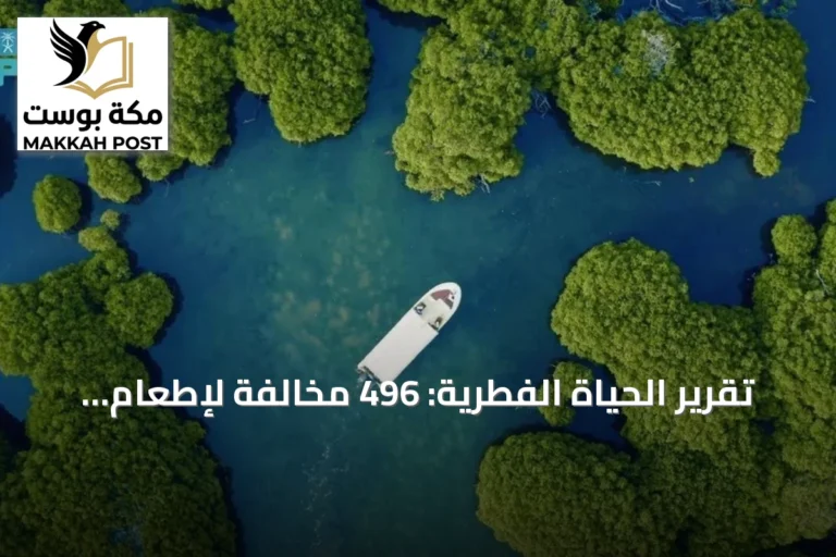 تقرير الحياة الفطرية: 496 مخالفة لإطعام البابون و7 برامج إكثار للأنواع