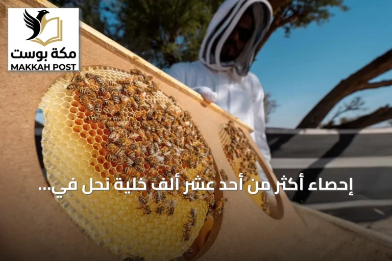 إحصاء أكثر من أحد عشر ألف خلية نحل في محمية الإمام تركي خلال موسمي الطلح والسدر