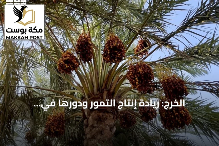 الخرج: ريادة إنتاج التمور ودورها في الاقتصاد الزراعي السعودي