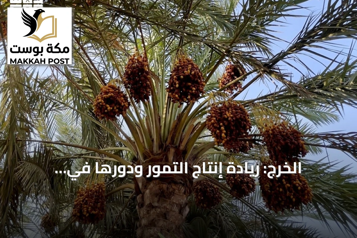 الخرج: ريادة إنتاج التمور ودورها في الاقتصاد الزراعي السعودي