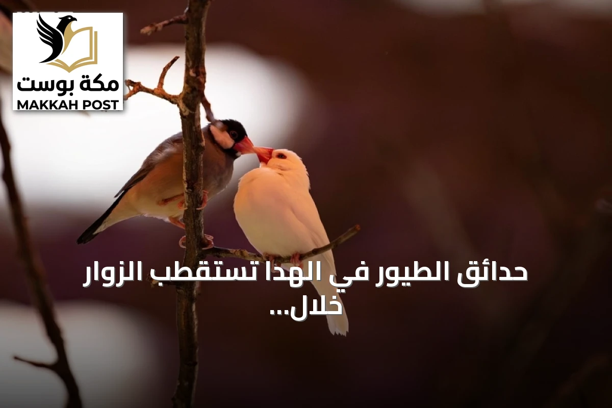 حدائق الطيور في الهدا تستقطب الزوار خلال موسم الصيف