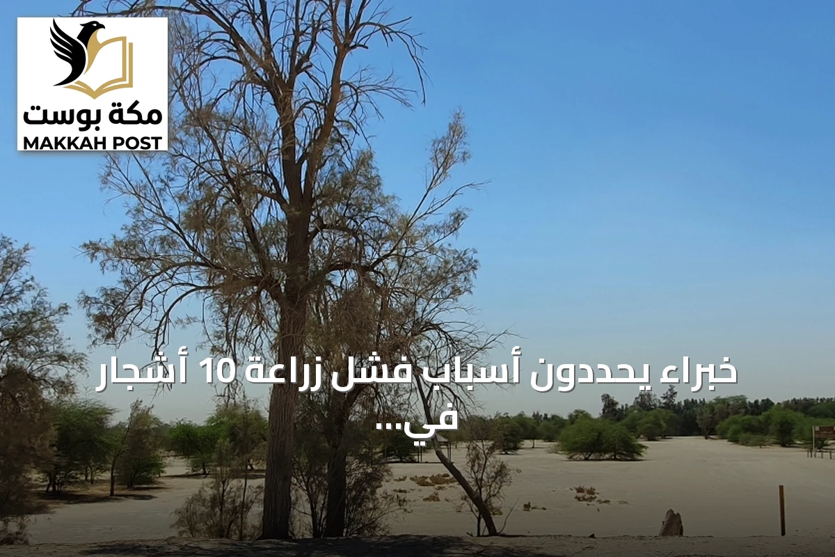 خبراء يحددون أسباب فشل زراعة 10 أشجار في بيئة الأحساء