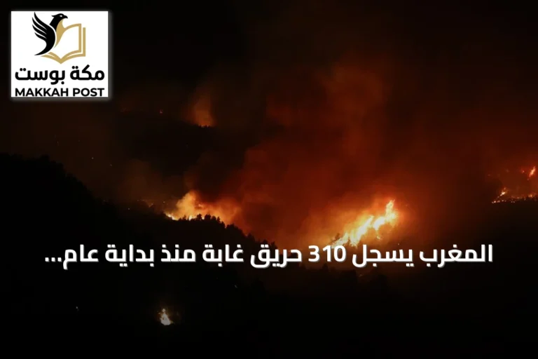 المغرب يسجل 310 حريق غابة منذ بداية عام 2026