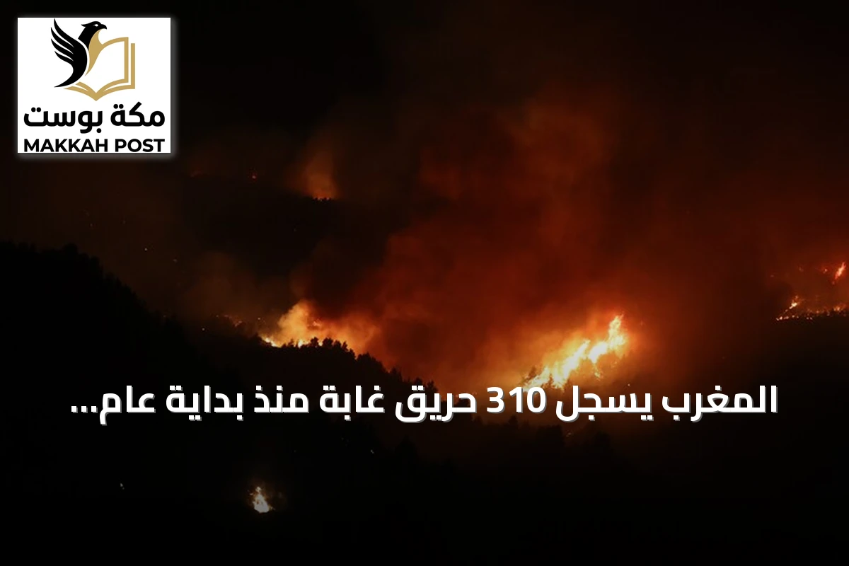 المغرب يسجل 310 حريق غابة منذ بداية عام 2026