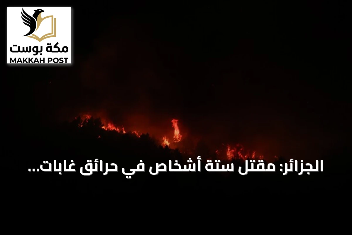 الجزائر: مقتل ستة أشخاص في حرائق غابات مستمرة amid موجة حرارة قياسية