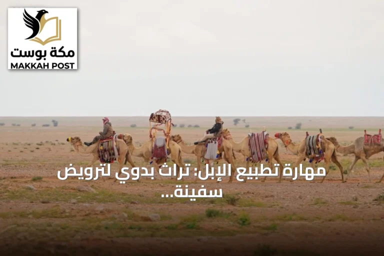 مهارة تطبيع الإبل: تراث بدوي لترويض سفينة الصحراء