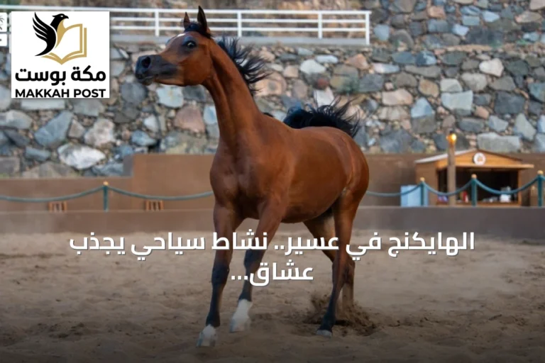الهايكنج في عسير.. نشاط سياحي يجذب عشاق الاستكشاف
