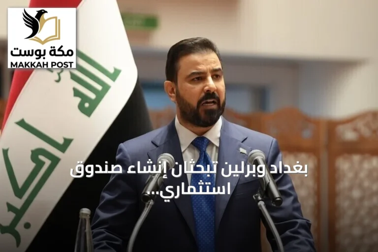 بغداد وبرلين تبحثان إنشاء صندوق استثماري مشترك لتطوير الصناعة العراقية