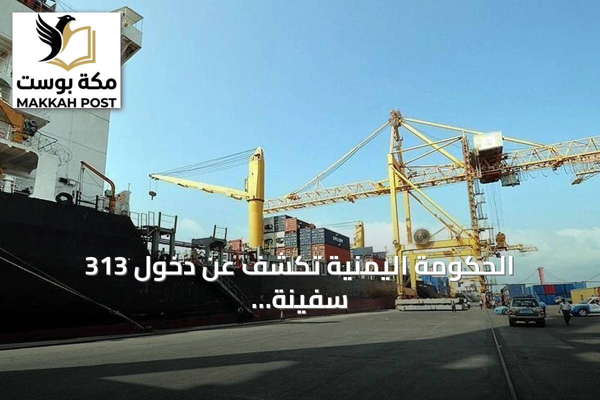 الحكومة اليمنية تكشف عن دخول 313 سفينة إلى موانئ تحت سيطرة الحوثيين منذ بداية 2026
