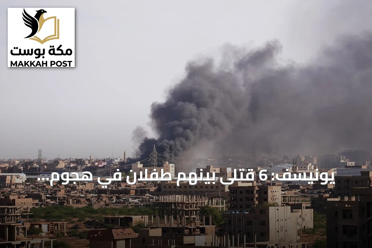 يونيسف: 6 قتلى بينهم طفلان في هجوم بمسيّرة على سوق بشمال كردفان