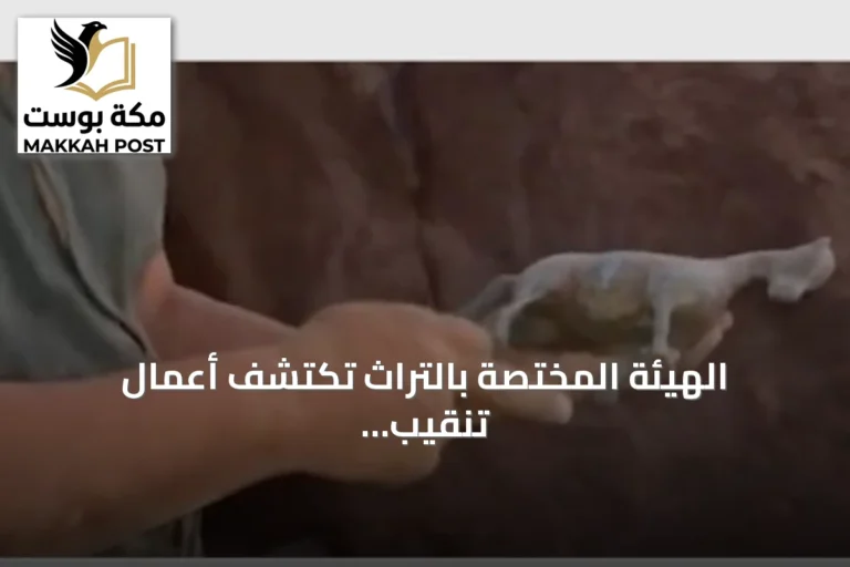 الهيئة المختصة بالتراث تكتشف أعمال تنقيب غير مرخص وتعلن اتخاذ إجراءات قانونية ضد المخالف