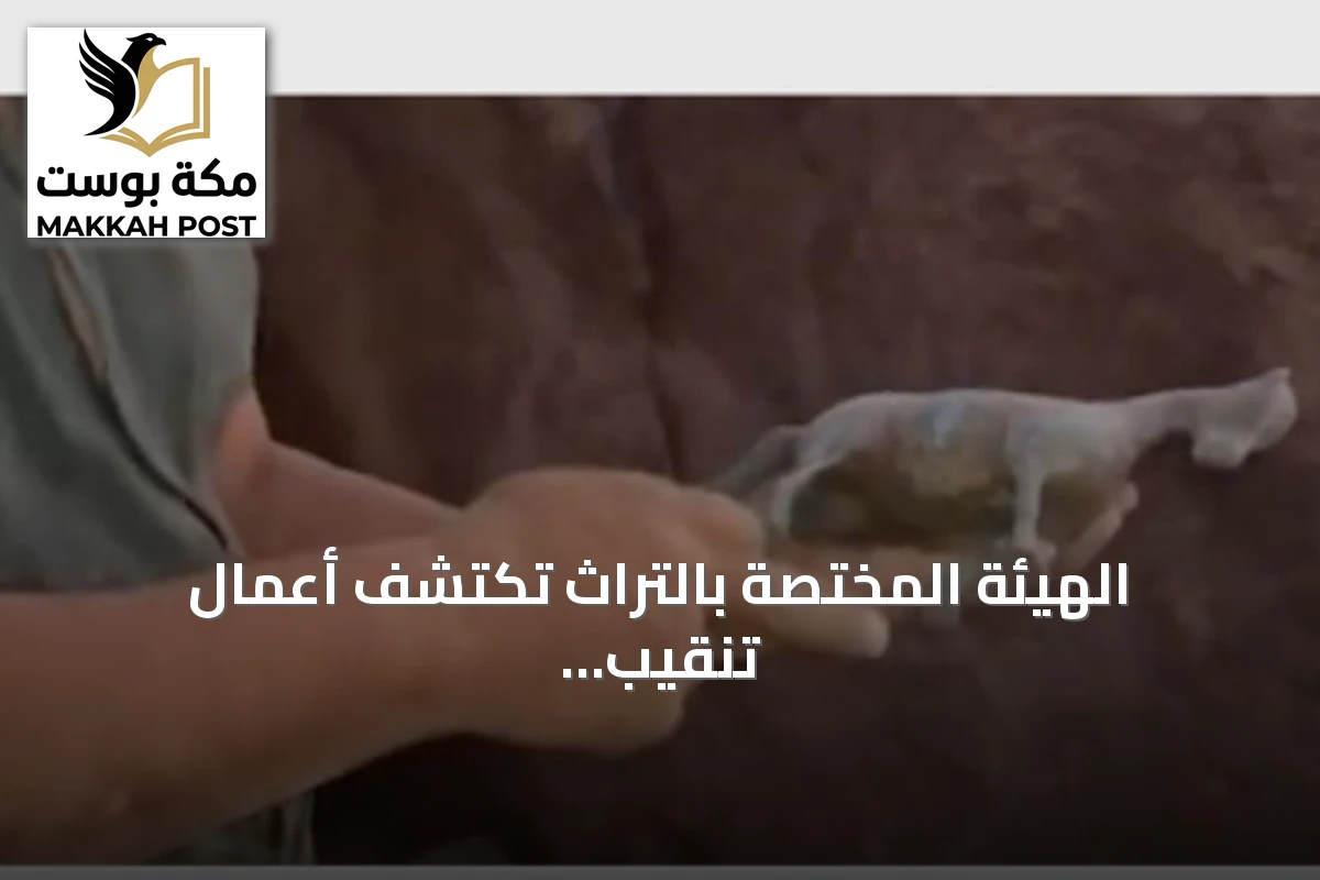 الهيئة المختصة بالتراث تكتشف أعمال تنقيب غير مرخص وتعلن اتخاذ إجراءات قانونية ضد المخالف