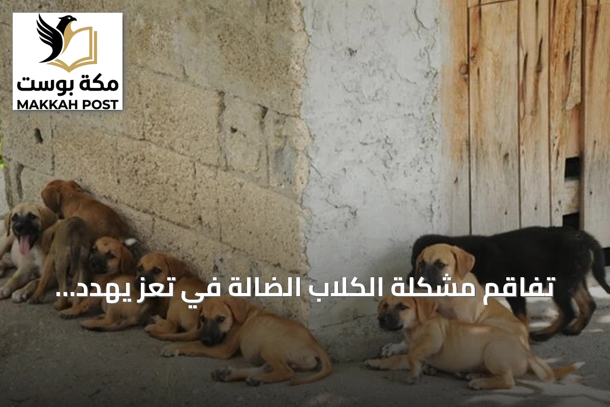 تفاقم مشكلة الكلاب الضالة في تعز يهدد سلامة الأطفال
