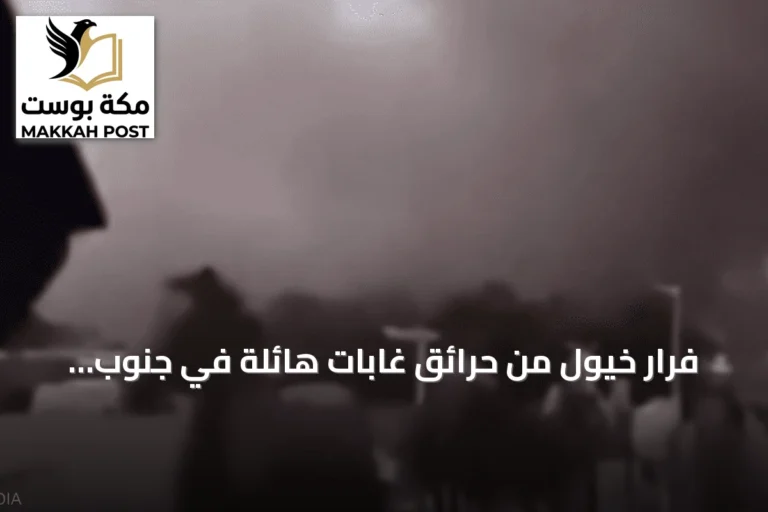 فرار خيول من حرائق غابات هائلة في جنوب غرب فرنسا