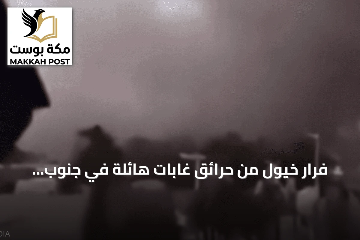 فرار خيول من حرائق غابات هائلة في جنوب غرب فرنسا